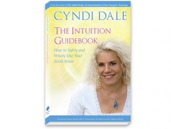 Book Cover for Cyndi Dale